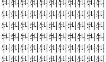 【脳トレ】「㸨」の中に紛れて1つ違う文字がある!?あなたは何秒で探し出せるかな??【違う文字を探せ!】
