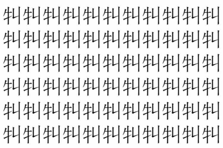 【脳トレ】「㸨」の中に紛れて1つ違う文字がある！？あなたは何秒で探し出せるかな？？【違う文字を探せ！】