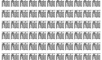 【脳トレ】「䤄」の中に紛れて1つ違う文字がある!?あなたは何秒で探し出せるかな??【違う文字を探せ!】