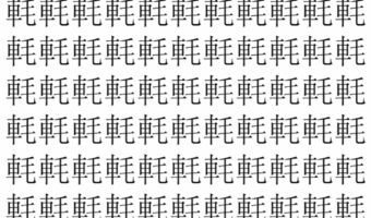 【脳トレ】「軞」の中に紛れて1つ違う文字がある!?あなたは何秒で探し出せるかな??【違う文字を探せ!】
