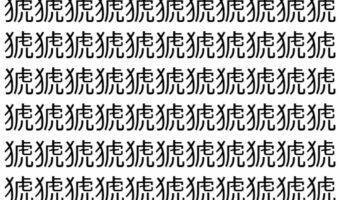 【脳トレ】「猇」の中に紛れて1つ違う文字がある！？あなたは何秒で探し出せるかな？？【違う文字を探せ！】