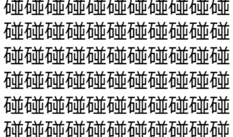 【脳トレ】「碰」の中に紛れて1つ違う文字がある！？あなたは何秒で探し出せるかな？？【違う文字を探せ！】