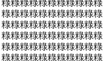 【脳トレ】「粶」の中に紛れて1つ違う文字がある!?あなたは何秒で探し出せるかな??【違う文字を探せ!】