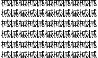 【脳トレ】「槭」の中に紛れて1つ違う文字がある!?あなたは何秒で探し出せるかな??【違う文字を探せ!】