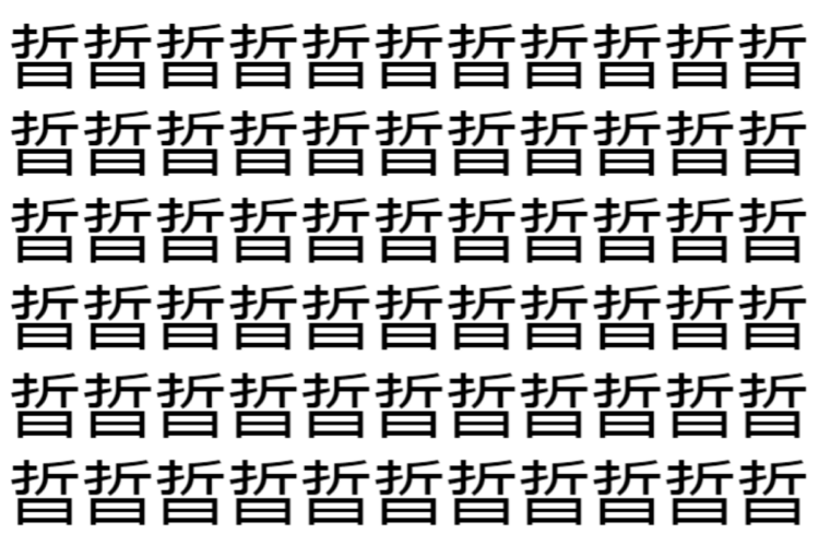 【脳トレ】「晢」の中に紛れて1つ違う文字がある！？あなたは何秒で探し出せるかな？？【違う文字を探せ！】