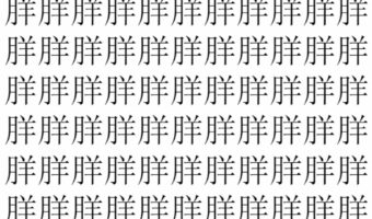 【脳トレ】「羘」の中に紛れて1つ違う文字がある!?あなたは何秒で探し出せるかな??【違う文字を探せ!】