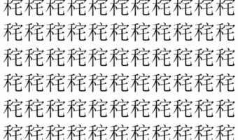 【脳トレ】「秺」の中に紛れて1つ違う文字がある!?あなたは何秒で探し出せるかな??【違う文字を探せ!】