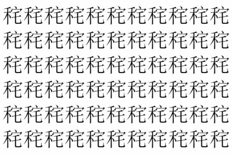 【脳トレ】「秺」の中に紛れて1つ違う文字がある！？あなたは何秒で探し出せるかな？？【違う文字を探せ！】