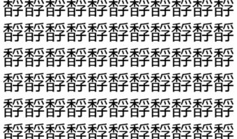 【脳トレ】「馟」の中に紛れて1つ違う文字がある!?あなたは何秒で探し出せるかな??【違う文字を探せ!】