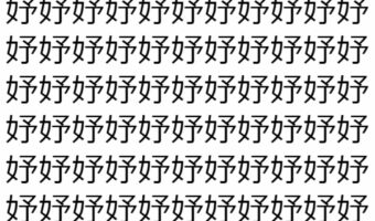 【脳トレ】「妤」の中に紛れて1つ違う文字がある！？あなたは何秒で探し出せるかな？？【違う文字を探せ！】