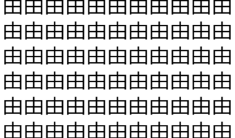 【脳トレ】「由」の中に紛れて1つ違う文字がある！？あなたは何秒で探し出せるかな？？【違う文字を探せ！】