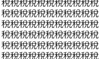 【脳トレ】「稅」の中に紛れて1つ違う文字がある!?あなたは何秒で探し出せるかな??【違う文字を探せ!】
