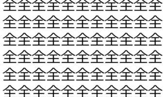 【脳トレ】「全」の中に紛れて1つ違う文字がある！？あなたは何秒で探し出せるかな？？【違う文字を探せ！】