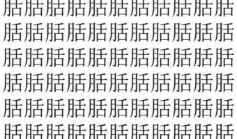 【脳トレ】「䏦」の中に紛れて1つ違う文字がある!?あなたは何秒で探し出せるかな??【違う文字を探せ!】