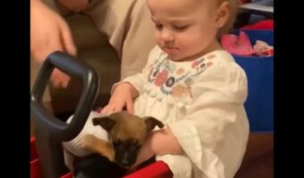 子犬を赤ちゃんの膝に乗せたサプライズ。感動シーンになるかと思ったら・・