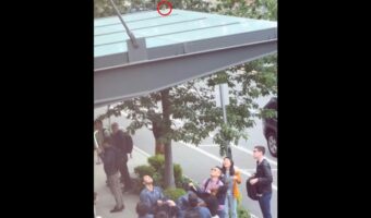 アヒルのヒナが屋根から落下しそう!?通行人たちによる救出劇がはじまる【アメリカ・動画】