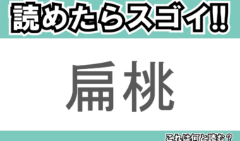 【読めたらスゴイ!】「扁桃」とは一体何のこと!?栄養満点のある食べ物のことですが・・・この漢字を読めますか?