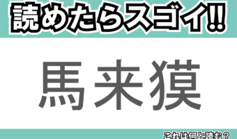 【読めたらスゴイ!】「馬来獏」とは一体何のこと!?体の色と模様が特徴的な動物のことですが・・・この漢字を読めますか?