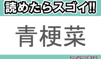 【読めたらスゴイ!】「青梗菜」とは一体何のこと!?中華料理でよく使われる野菜ですが・・・この漢字を読めますか?
