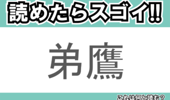【読めたらスゴイ!】「弟鷹」とは一体何のこと!?弟と表記に含まれているけれど・・・この漢字を読めますか?