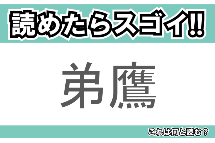 【読めたらスゴイ！】「弟鷹」とは一体何のこと！？弟と表記に含まれているけれど・・・この漢字を読めますか？