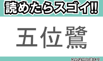 【読めたらスゴイ!】「五位鷺」とは一体何のこと!?鳴き声が特徴的でペンギンにも似ている鳥ですが・・・この漢字を読めますか?
