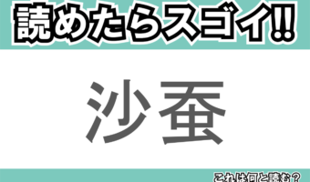 【読めたらスゴイ!】「沙蚕」とは一体何のこと!?釣り餌にされる生物ですが・・・この漢字を読めますか?