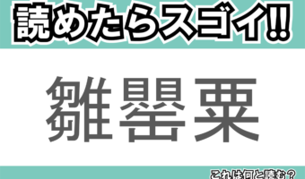 【読めたらスゴイ!】「雛罌粟」とは一体何のこと!?心の平穏・いたわり・恋の予感といった花言葉がある春の花のことですが・・・この漢字を読めますか?