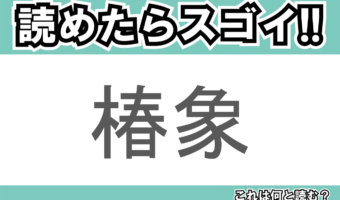【読めたらスゴイ!】「椿象」とは一体何のこと!?キツい臭いを放つあの昆虫のことですが・・・この漢字を読めますか?