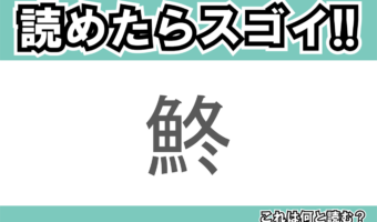 【読めたらスゴイ！】「鮗」とは一体何のこと！？「逆出世魚」と言われる事もある不遇な魚ですが・・・この漢字を読めますか？