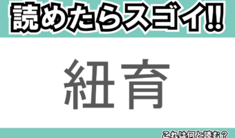 【読めたらスゴイ！】「紐育」とは一体何のこと！？世界屈指の経済都市の事ですが・・・この漢字を読めますか？