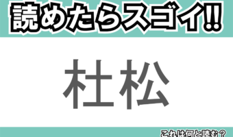 【読めたらスゴイ!】「杜松」とは一体何のこと!?日本庭園には必ずあるイメージもある植物の事ですが・・・この漢字を読めますか?