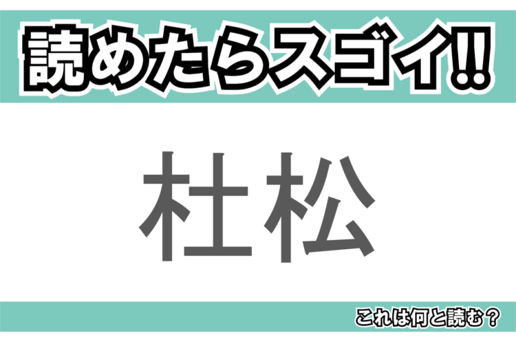 【読めたらスゴイ！】「杜松」とは一体何のこと！？日本庭園には必ずあるイメージもある植物の事ですが・・・この漢字を読めますか？