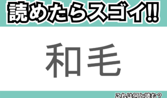 【読めたらスゴイ!】「和毛」とは一体何のこと!?ふわふわしたある毛を指す言葉ですが・・・この漢字を読めますか?