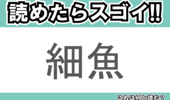 【読めたらスゴイ！】「細魚」とは一体何のこと！？文字通り体の細長いその魚とは・・・この漢字を読めますか？