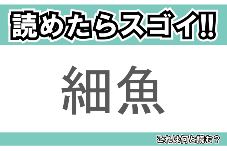 【読めたらスゴイ！】「細魚」とは一体何のこと！？文字通り体の細長いその魚とは・・・この漢字を読めますか？