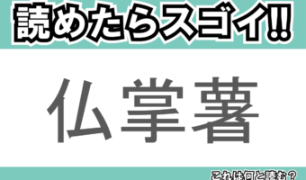 【読めたらスゴイ！】「仏掌薯」とは一体何のこと！？滋養強壮にも効果があるとされるトロッとした食材ですが・・・この漢字を読めますか？