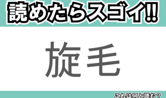 【読めたらスゴイ！】「旋毛」とは一体何のこと！？人体にもあるのですが・・・この漢字を読めますか？