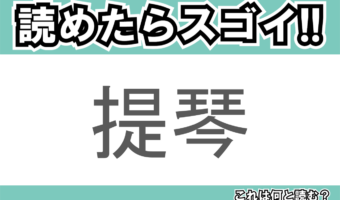 【読めたらスゴイ!】「提琴」とは一体何のこと!?クラシック音楽に欠かせないある楽器ですが・・・この漢字を読めますか?