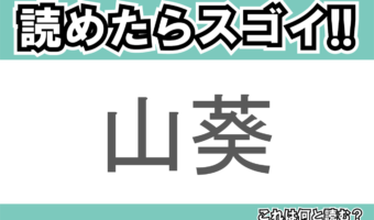 【読めたらスゴイ！】「山葵」とは一体何のこと！？ツンとくるのが特徴の薬味ですが・・・この漢字を読めますか？