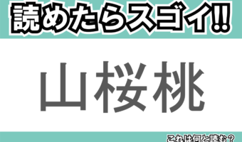 【読めたらスゴイ！】「山桜桃」とは一体何のこと！？桜や桃に似た花を咲かせる植物ですが・・・この漢字を読めますか？