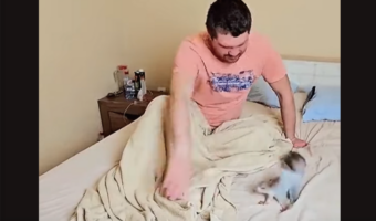 リスがベッドの上をグルグル。飼い主さんの手をひたすら追いかけ・・追い越しそう!!