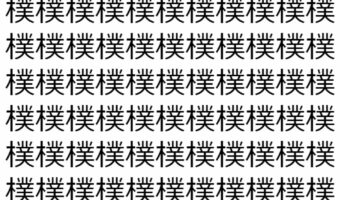 【脳トレ】「樸」の中に紛れて1つ違う文字がある！？あなたは何秒で探し出せるかな？？【違う文字を探せ！】
