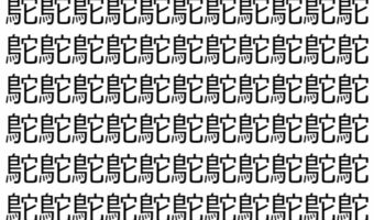 【脳トレ】「鴕」の中に紛れて1つ違う文字がある！？あなたは何秒で探し出せるかな？？【違う文字を探せ！】