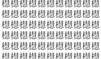 【脳トレ】「櫘」の中に紛れて1つ違う文字がある！？あなたは何秒で探し出せるかな？？【違う文字を探せ！】