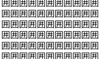 【脳トレ】「囲」の中に紛れて1つ違う文字がある！？あなたは何秒で探し出せるかな？？【違う文字を探せ！】