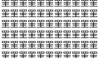 【脳トレ】「罜」の中に紛れて1つ違う文字がある!?あなたは何秒で探し出せるかな??【違う文字を探せ!】