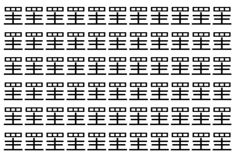 【脳トレ】「罜」の中に紛れて1つ違う文字がある！？あなたは何秒で探し出せるかな？？【違う文字を探せ！】