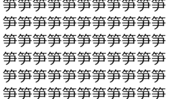 【脳トレ】「笋」の中に紛れて1つ違う文字がある!?あなたは何秒で探し出せるかな??【違う文字を探せ!】
