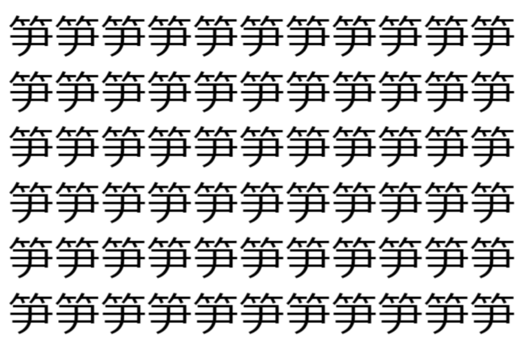 【脳トレ】「笋」の中に紛れて1つ違う文字がある！？あなたは何秒で探し出せるかな？？【違う文字を探せ！】